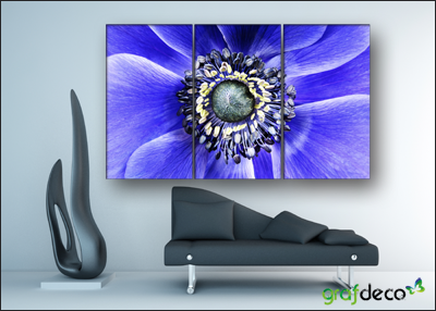 Fotoobraz kwiaty - niebieski mak